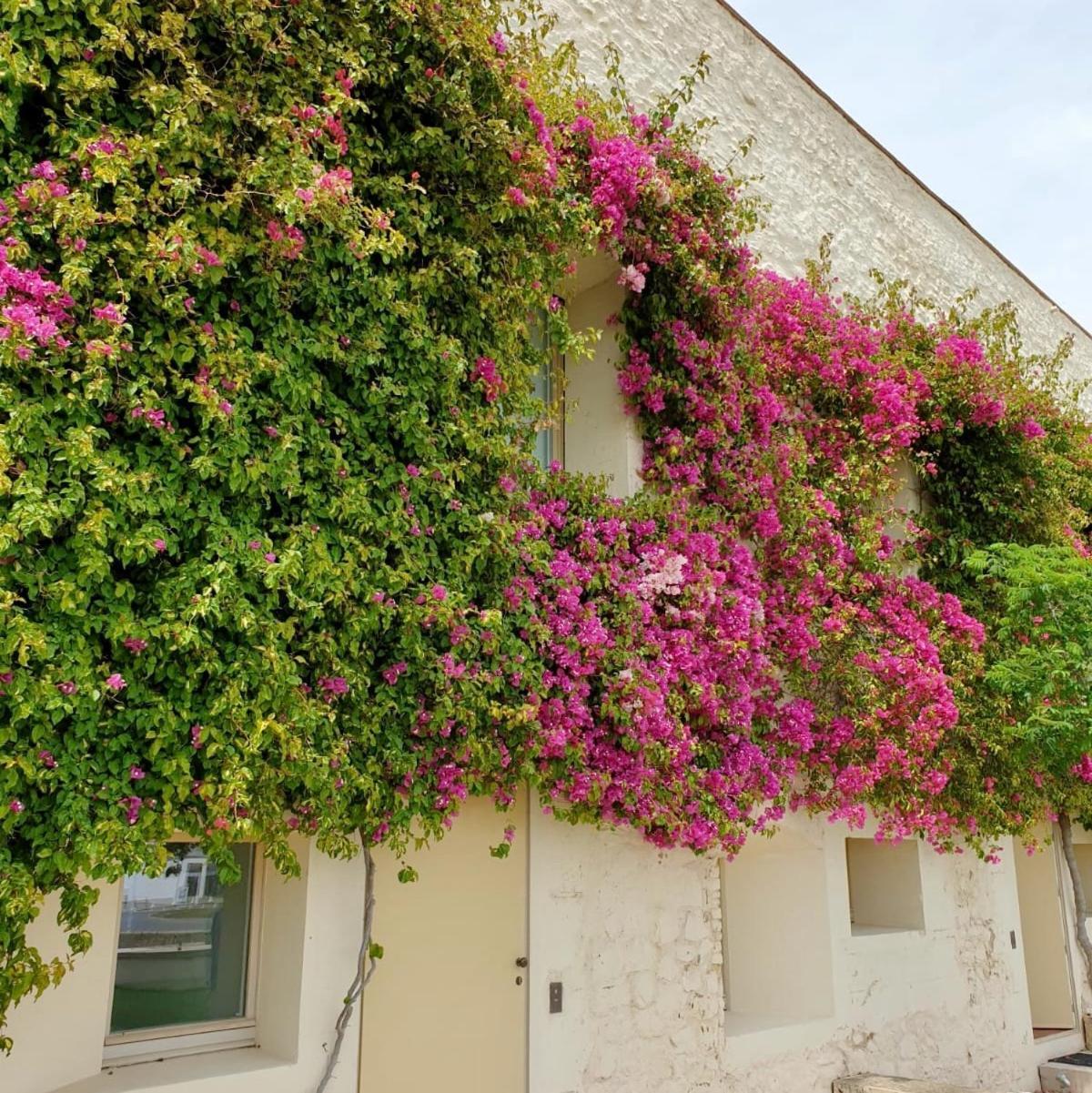 Apartamento Convento Das Bernadas Tavira Exterior photo