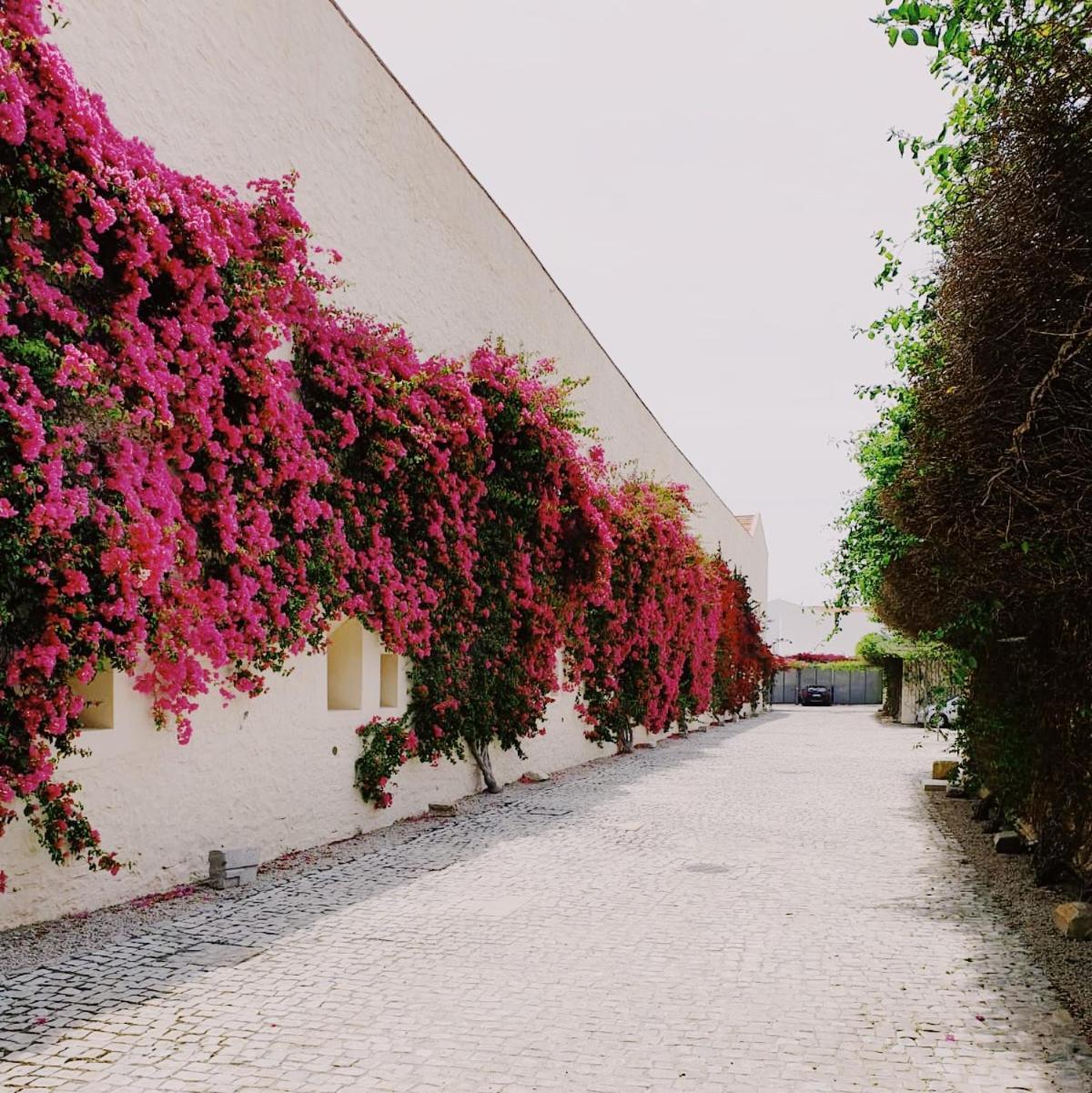 Apartamento Convento Das Bernadas Tavira Exterior photo